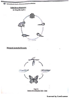 Science G2.pdf